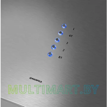Вытяжка MAUNFELD Bath Plus 402IL (нержавеющая сталь) картинка 4